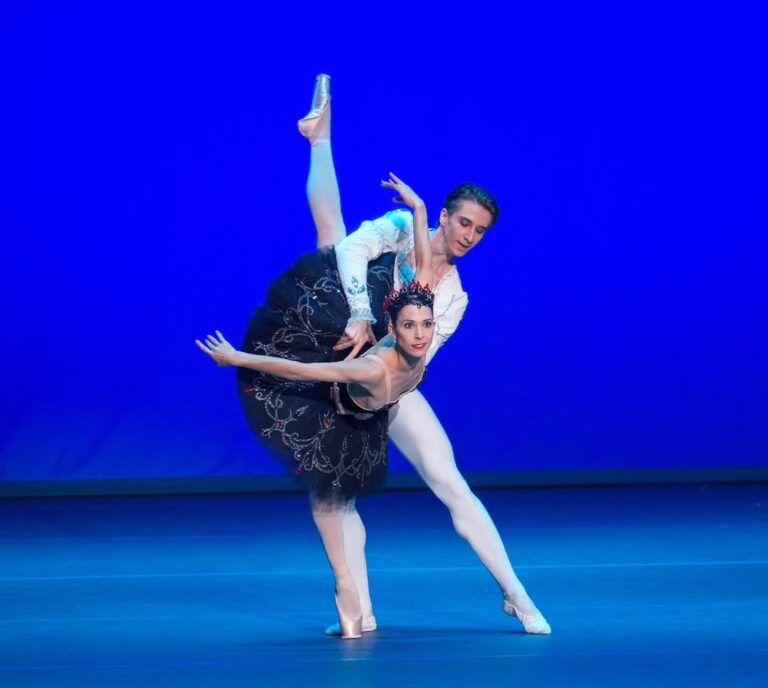 Pas de deux The Black Swan, Photo by Alina & Friends World Ballet Star Gala 2023